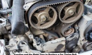 Function and the Right Time to Replace a Car Timing Belt Function and the Right Time to Replace a Car Timing Belt